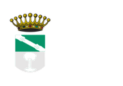 Concello de Lalín